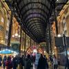 IMG 6779