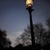 IMG 7265