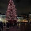 IMG 7385