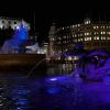 IMG 7281