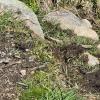 IMG 8679