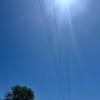 IMG 8805