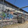 IMG 9358