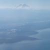 IMG 8559